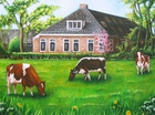 Boerderij