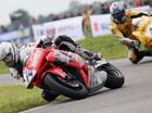 motor koe