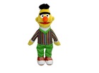 Bert en Ernie