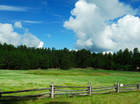 Boerderijleven