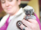 Cuteness!