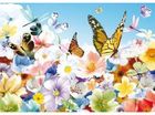 vlinders