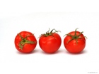 testles 1